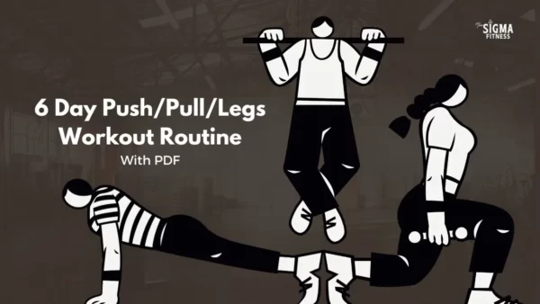 6 Day Push Pull Legs Workout Routine